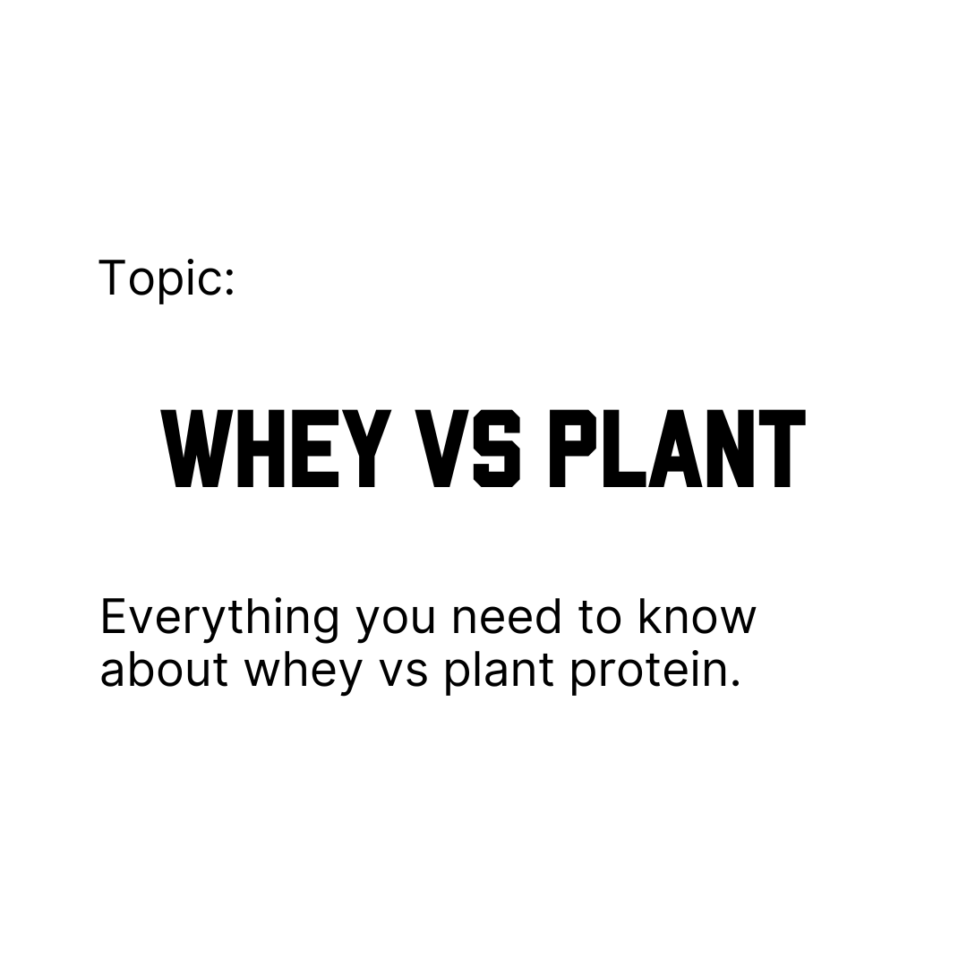 Whey vs Plant Protein: Which Is Right For Your Training in 2024?