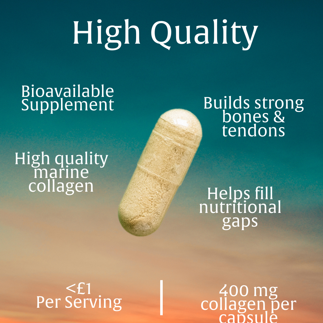 542 Performance Nutrition Collagen Natural Supplement