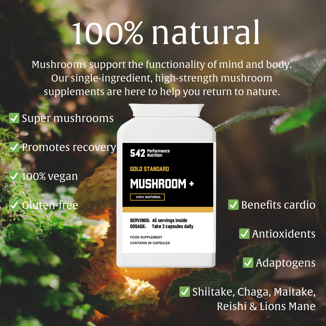 542 Performance Nutrition Mushroom Natural Supplement Benefits