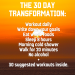 542 30 Day Transformation Programme Overview